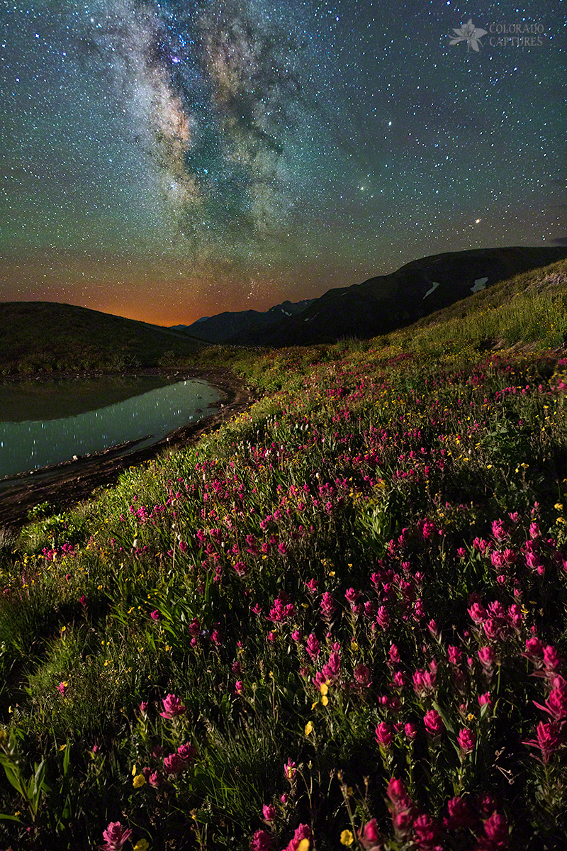 Wildflower Milky Way Reflection