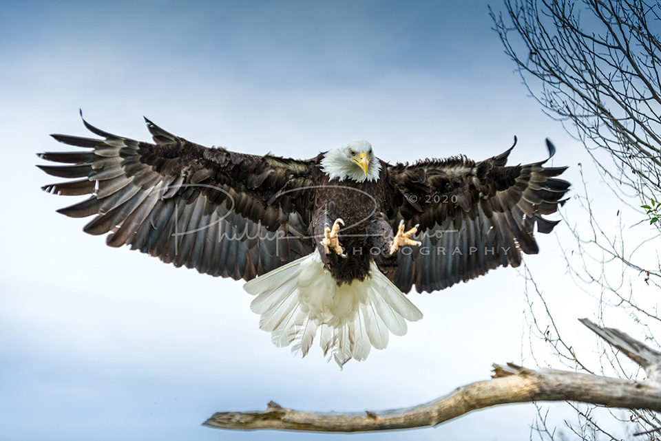 Phil Rubino HawkQuest