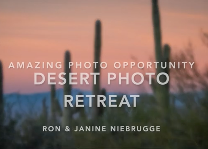 Jim Griggs YouTube: Desert Photo Retreat