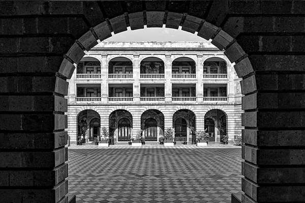 Dave Purcell - Arches