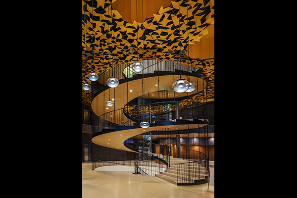 Dave Purcell - Spiral Splendor