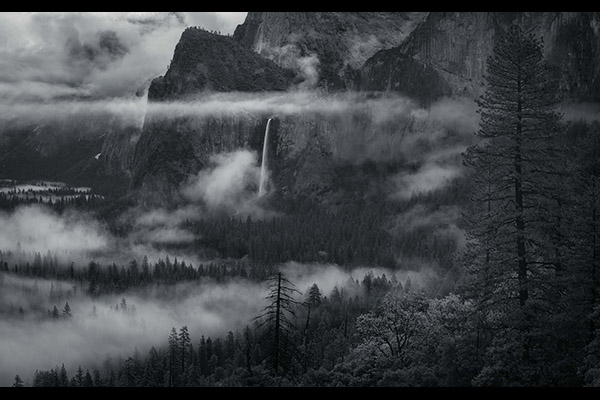 Jeff Woodard - Cathedral of Mist