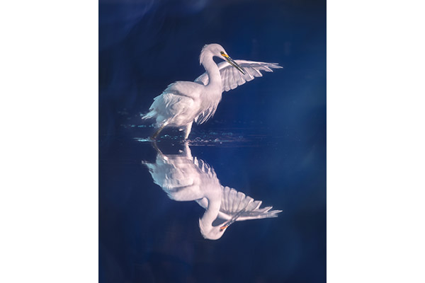 Kathy Snead - Early Morning Ballet