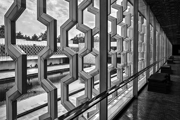 Dave Purcell - Puzzled