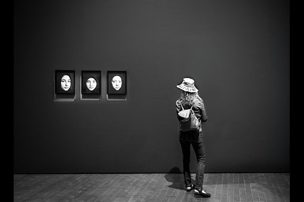 Susan Langer - Diversity