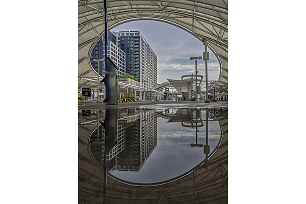 Michael Ryno - Morning Reflection