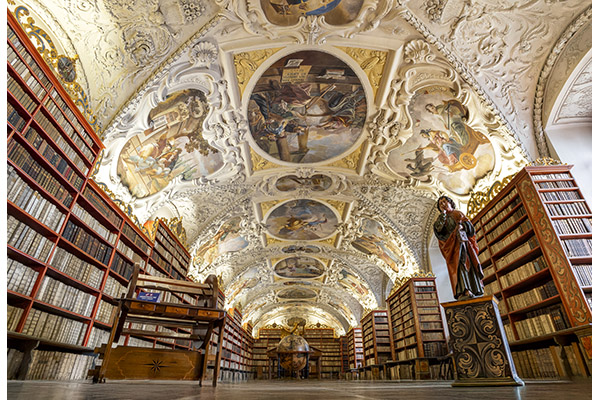 Quiet Corner of Knowledge by Dave Purcell