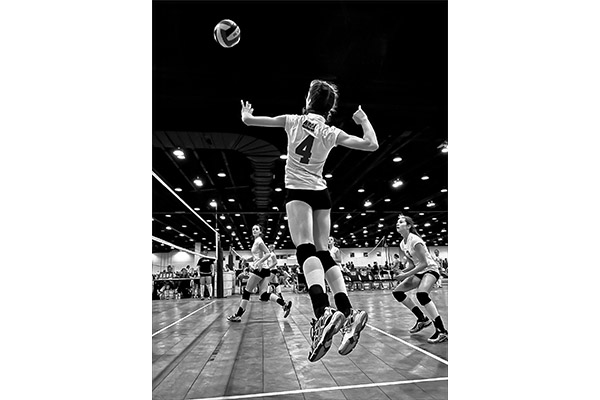 Spike by Dave Purcell