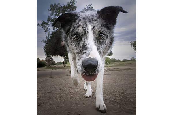 In Your Face by Quirino Zaragoza