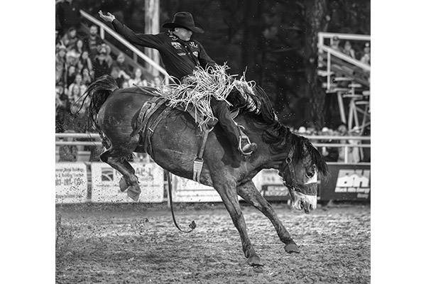 Muddy Ride by Michael Ryno