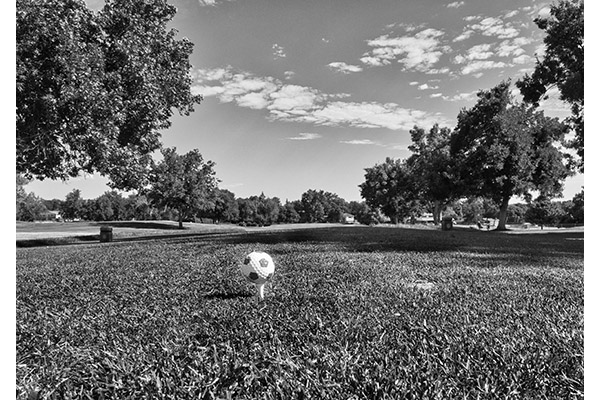 Tee It Up by Jeff Scott