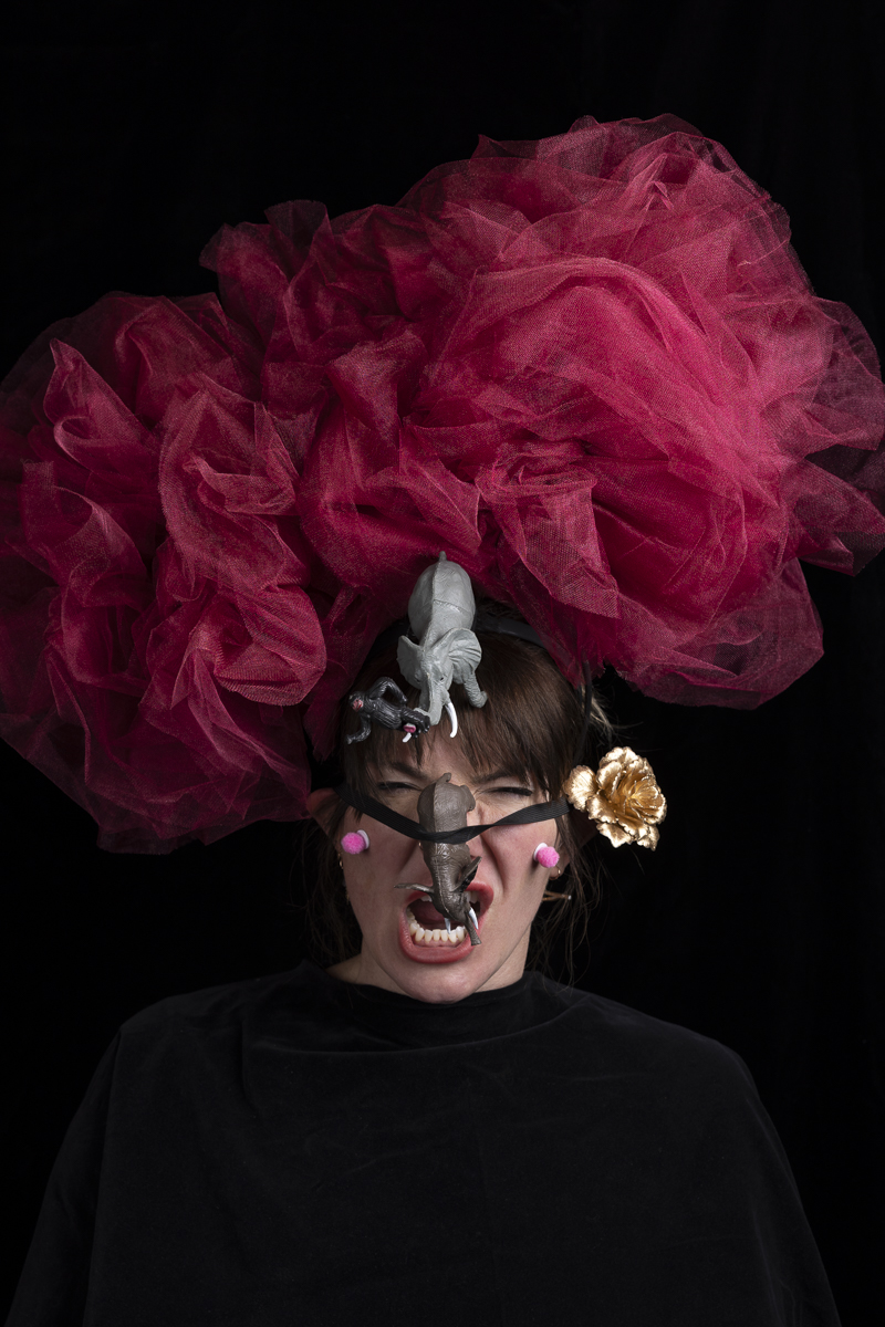 photographer Dave Purcell