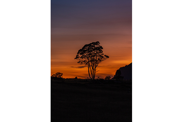 Sunrise Tasmania by Steve Sorensen