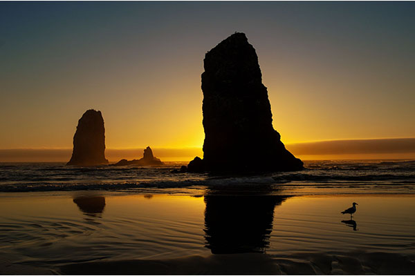 Silhouettes Of The Sea by Bruce Norman