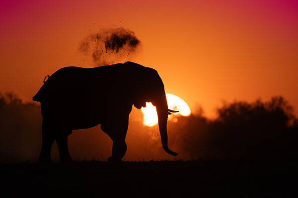 Dusting at Dusk by Benjamin Evans