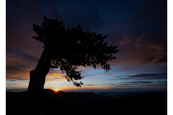 The Sun's Oldest Friend by Carolyn Ryman