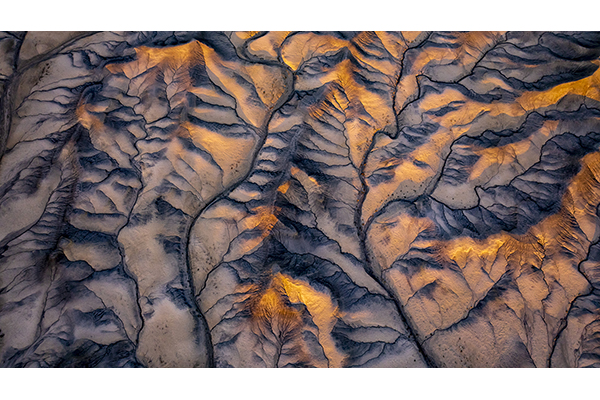 Kissed by Sunlight by Teri Virbickis