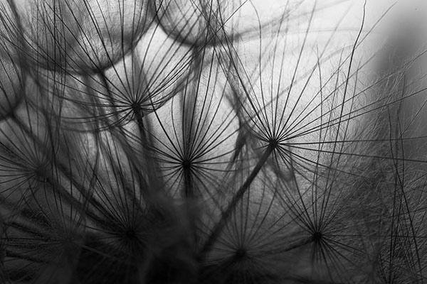 Quiet Architecture by Patrick Dodge