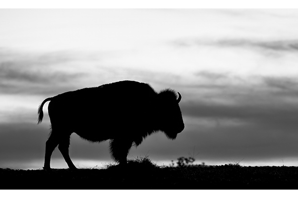 End Of The Day by Michael Ryno