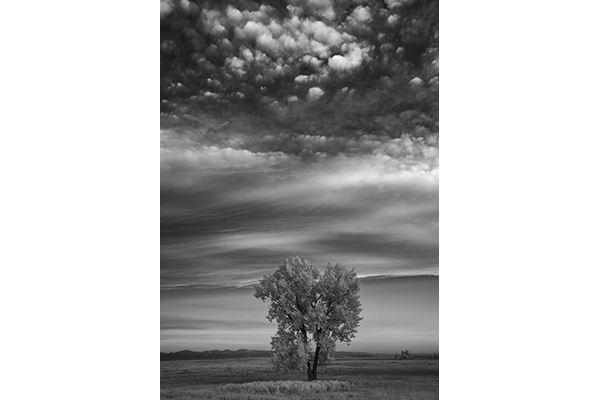 Solitude Beneath a Gathering Sky by Michael Ryno