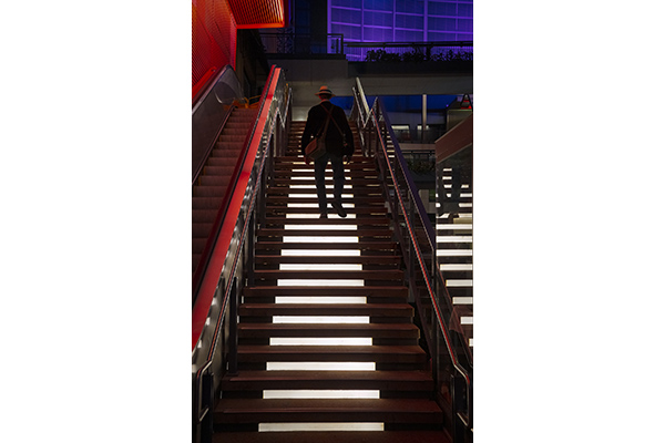 Scaling The Light by Dave Purcell