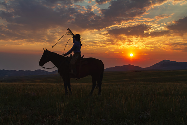 Roping the Dawn by Cathy Allen-Shinn