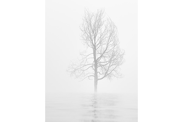 Fading Dancer by Darren White