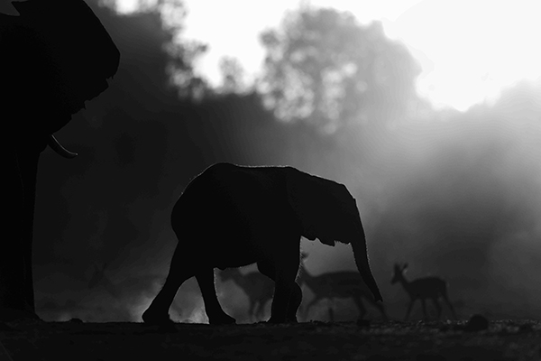 Little Ray of Sunshine by Benjamin Evans