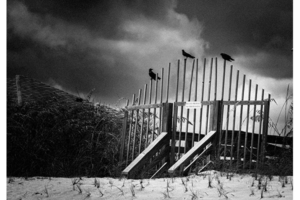 2 BI M Patrick Dodge - The Jury