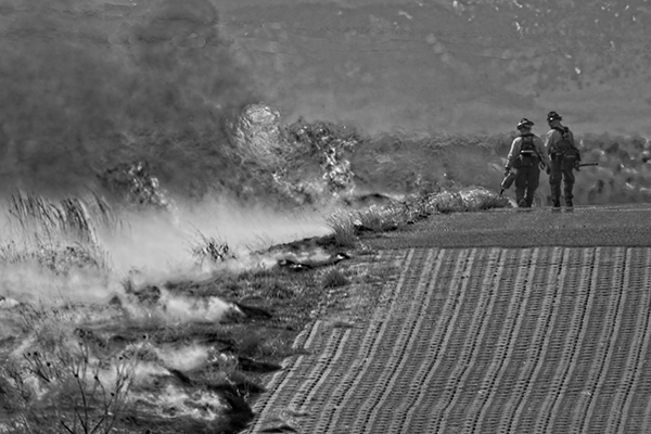 HM BI M Rae Johnson - Fire Starters