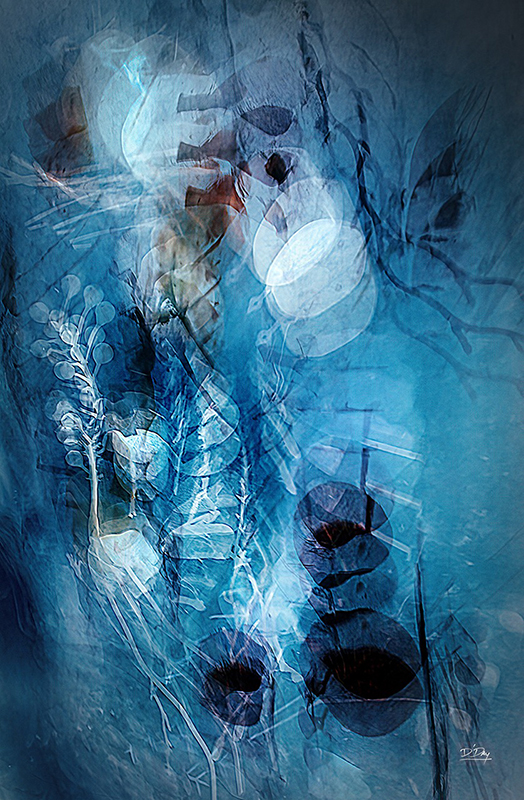 Moonlit_Garden - David Day