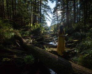 off camera flash before