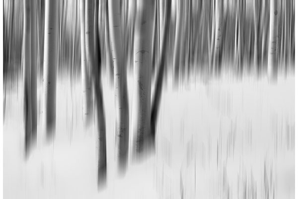 1 P M Jane Richards - Winter Linear Ghosts