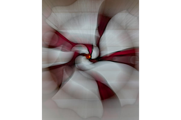 3 BI C Ann Zimmerman - Stained Glass Peppermint