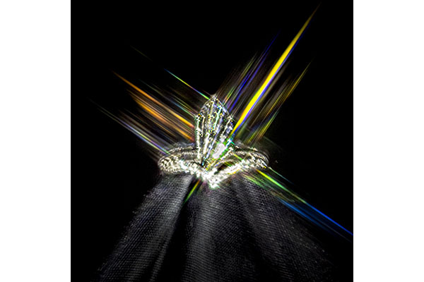 HM BI C Gary Hubel - Her Ring. Her Light. Forever