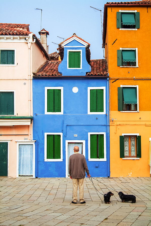 Walking the Dogs - McCory James