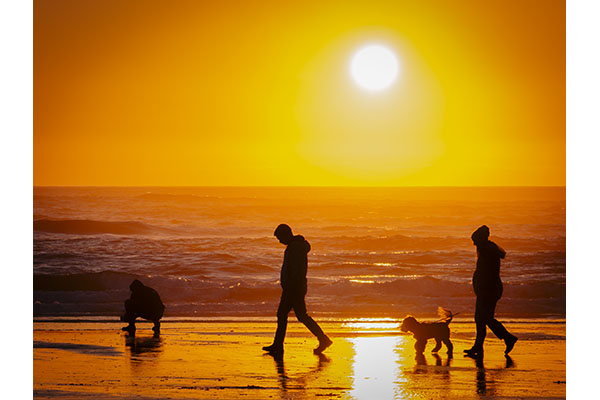 1 BI C Tony Lazzari - Sunset Stroll 1 BI C Tony Lazzari - Sunset Stroll
