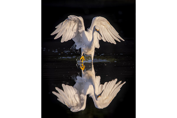2 A C Kathy Snead - Angels Wings 2 A C Kathy Snead - Angels Wings