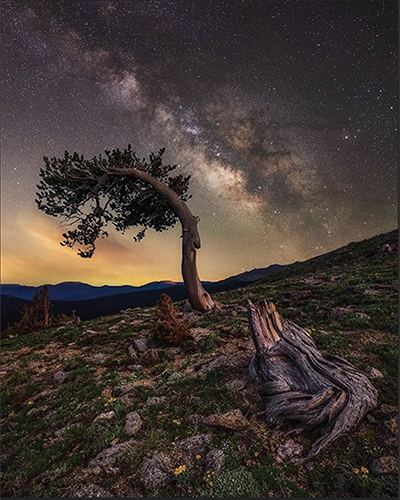 Darren White Photography