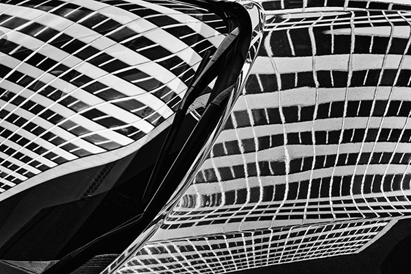 2 A B&W Bruce Norman - Hood Ornament 2 A B&W Bruce Norman - Hood Ornament